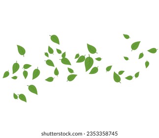 Papel o pancarta de hojas verdes. Vector de fondo del elemento de la naturaleza de la hoja verde. Vamos concepto verde, producto de belleza. menta fresca. Ornamento de follaje. Té fresco. Marco estético. Ilustración vectorial.