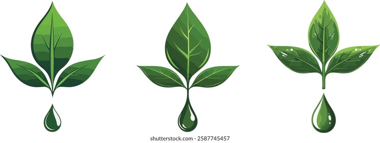 Green Leaves with Water Drop Vector Illustrations Set, Isolated on White