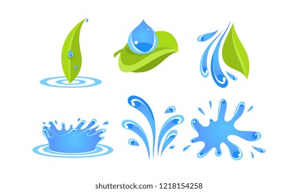 Green leaves, water drops and splashes, ecology concept vector Illustration on a white background