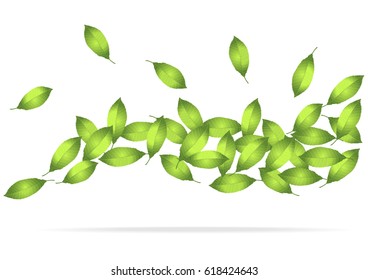 green leaves wave, bright vector spring background