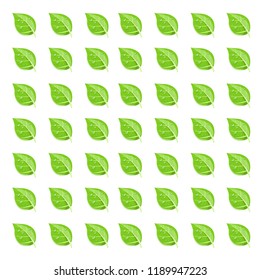 Green leaves, white background