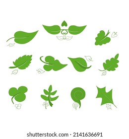 Hojas verdes con conjunto blanco. Diferentes formas modernas de hojas y sus contornos reducidos. Fondo blanco. Para usar el logotipo de las empresas medioambientales, papel, tela, formato digital.