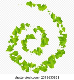 Green Leaves Wind Vector Transparent Background Pattern. Fresh Leaf Wallpaper. Olive Foliage Falling Branch. Greens Nature Border.