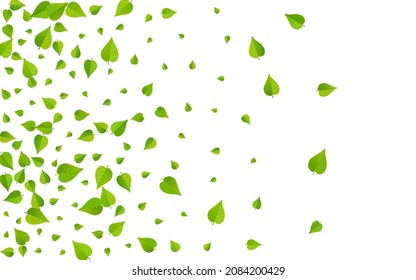 Green Leaves Wind Vector White Background Template. Realistic Leaf Wallpaper. Swamp Foliage Organic Poster. Greens Motion Concept.