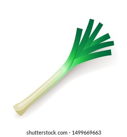 Green leek icon isolated, organic healthy food, fresh leaf, vegetable, vector illustration