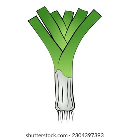 Green leek on white background