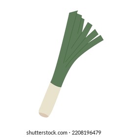 Piel verde de puerro. Planta alimenticia con tallo y hoja. Icono vector de la verdura fresca cruda. Ilustración plana de color aislada en fondo blanco.