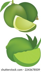 Green Lemon Avatar Vector Art.