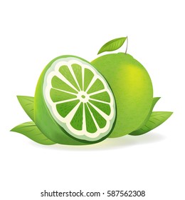 Green Lemon Fresh Isolate Fruit Vector