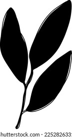 Green lemon leaves. Leaf, clipping path, isolated on white background. Yellow. Citrus. Minimalist doodle style. Black line. Vector illustration.