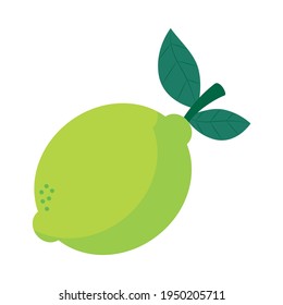 green lemon on white background