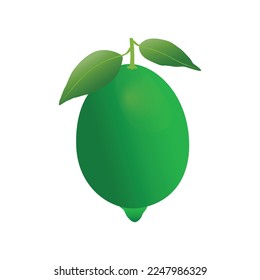 Vector de limón verde fresco. Diseño creativo de limón 3D.