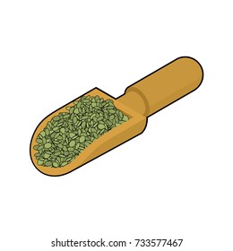 Green Lentils in wooden scoop isolated. Groats in wood shovel. Grain on white background. Vector illustration

