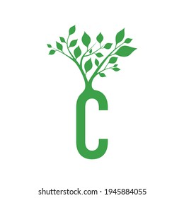 Green letter C with branch of tree ornament. For initial logo and brand identity.