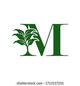 Logo de la letra verde M con elemento hoja, concepto de ecología de diseño vectorial