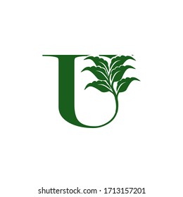 Green Letter U logo with leaf element, vector design ecology concept