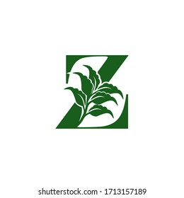 Green Letter Z logo with leaf element, vector design ecology concept