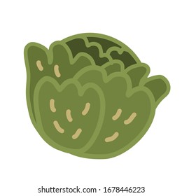 Green lettuce or cabbage leaf. Salad leaf icon isolated on white background. Leafy green vegetables. Organic healthy vegetable food. Vector illustration 