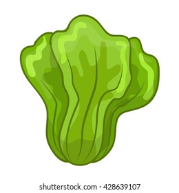 Green Lettuce cartoon isolated illustration on white background