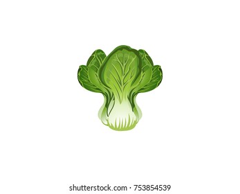Green Lettuce - Cartoon Vector Image