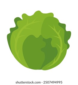 Green lettuce head vector graphic for salad and vegetable themes.