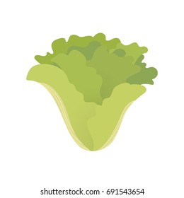 Green lettuce healthy vegetable symbol icon in flat style. Vector illustration