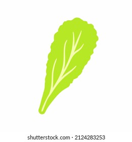 Grüner Salat im Cartoon-Stil auf weißem Hintergrund. Vektorgrafik