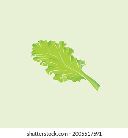 Green lettuce leaf vector flat style illustration, Cartoon style lettuce leaf  drawn flat vector icon isolated on white. Fresh lettuce leaf symbol icon. Green lettuce leaf illustration