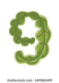 Green lettuce number 9 style vegetable food cartoon design flat vector illustration isolated on white background