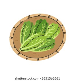 Groene sla op ondiepe mand. Platte cartoon stijl vector illustratie geïsoleerd op witte achtergrond