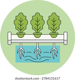 Green lettuce plants growing hydroponically