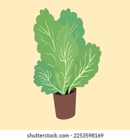 green lettuce in a pot on an isolated background in a flat style. Lettuce leaves in an individual pot from the supermarket.