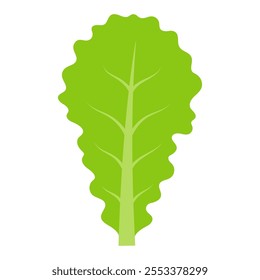 green lettuce salad leaf isolated on white background, flat style