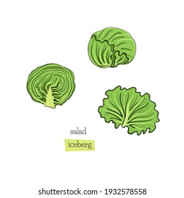 Green lettuce salad set leaves draw iceberg on white background. Design element. Vector sketch isolated illustration. Hand drawn cooking food.