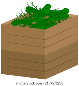 Green lettuce in wooden box. Autumn harvest. Isolated vegetables in container on white background. Eco farm product. Healthy vitamin eating concept, market grocery harvesting. Fresh ripe ogranic food