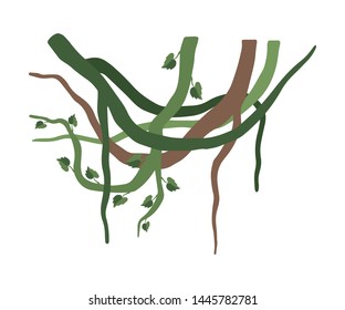 Green Liana Branches with Leaves, Jungle Plant Decorative Element, Rainforest Flora Vector Illustration