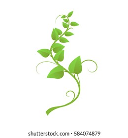 The green liana isolated on white background, vector illustration