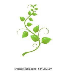 The green liana isolated on white background, vector illustration