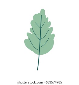 green light color of wavy leaf plant vector illustration