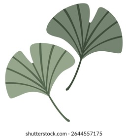 Green light and dark leaves resembling the shape of a heart on a transparent background. Hand-drawn botanical leaves in a vector.