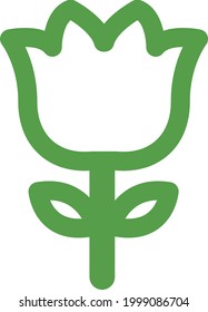 Green lilly flower, illustration, on a white background.