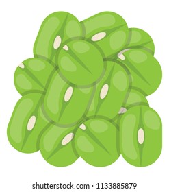 A green or lima beans in round shape kind of seed grown on flowery plant 