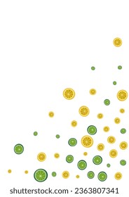 Green Lime Background White Vector. Lemon Food Set. Juicy Piece Fruit. Yellow Vitamin Decoration.