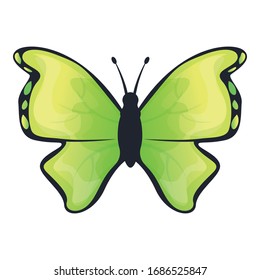 Green lime butterfly icon. Cartoon of green lime butterfly vector icon for web design isolated on white background