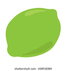 Green lime citrus fruit with shadow and light reflection doodle cartoon vector illustration, isolated on white background.