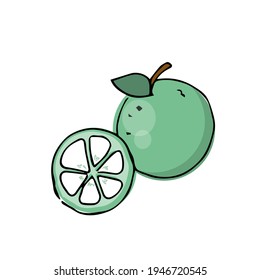 Green lime in doodle style, whole fruit and cut. Citrus. A graphic design element. Isolated object, background, illustration, print.