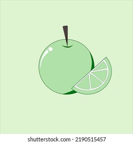 green lime fresh vector isolated.tropical fruit.