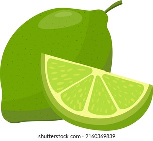 frutos de cal verde aislados en fondo blanco, ilustración vectorial de diseño plano