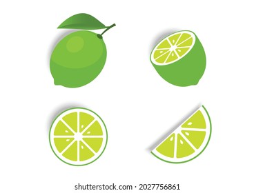 Green lime icon on white background.vector illustration