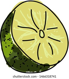 Cal verde, ilustração, vetor sobre fundo branco.